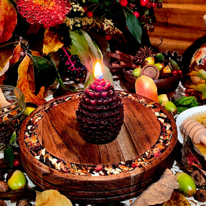 Autumn Essence Pinecone Candle