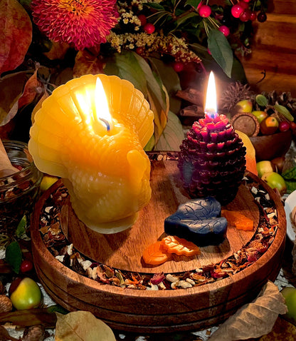 Autumn Essence Pinecone Candle